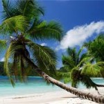 Seychelles Company - Asset Protection Seychelles Company - Asset Protection