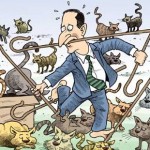 herding cats commodities